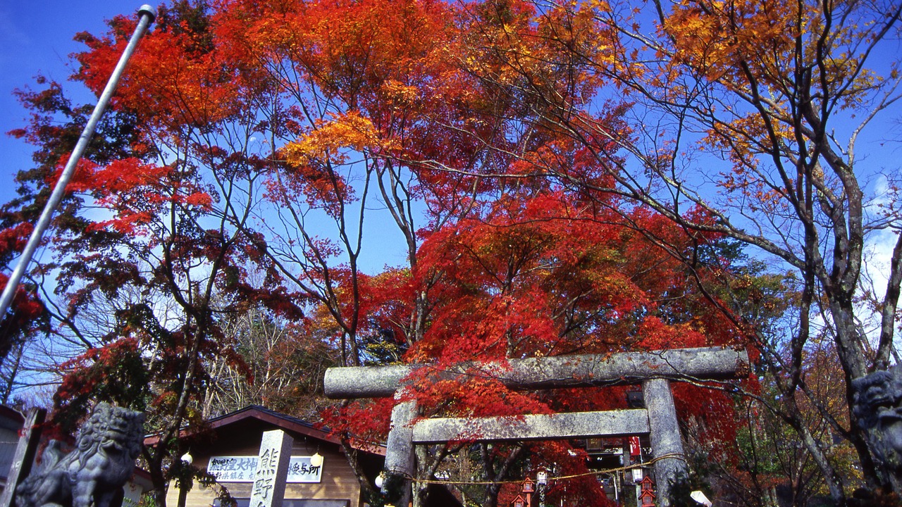 Photo of Outdoor in Kyukaruizawa