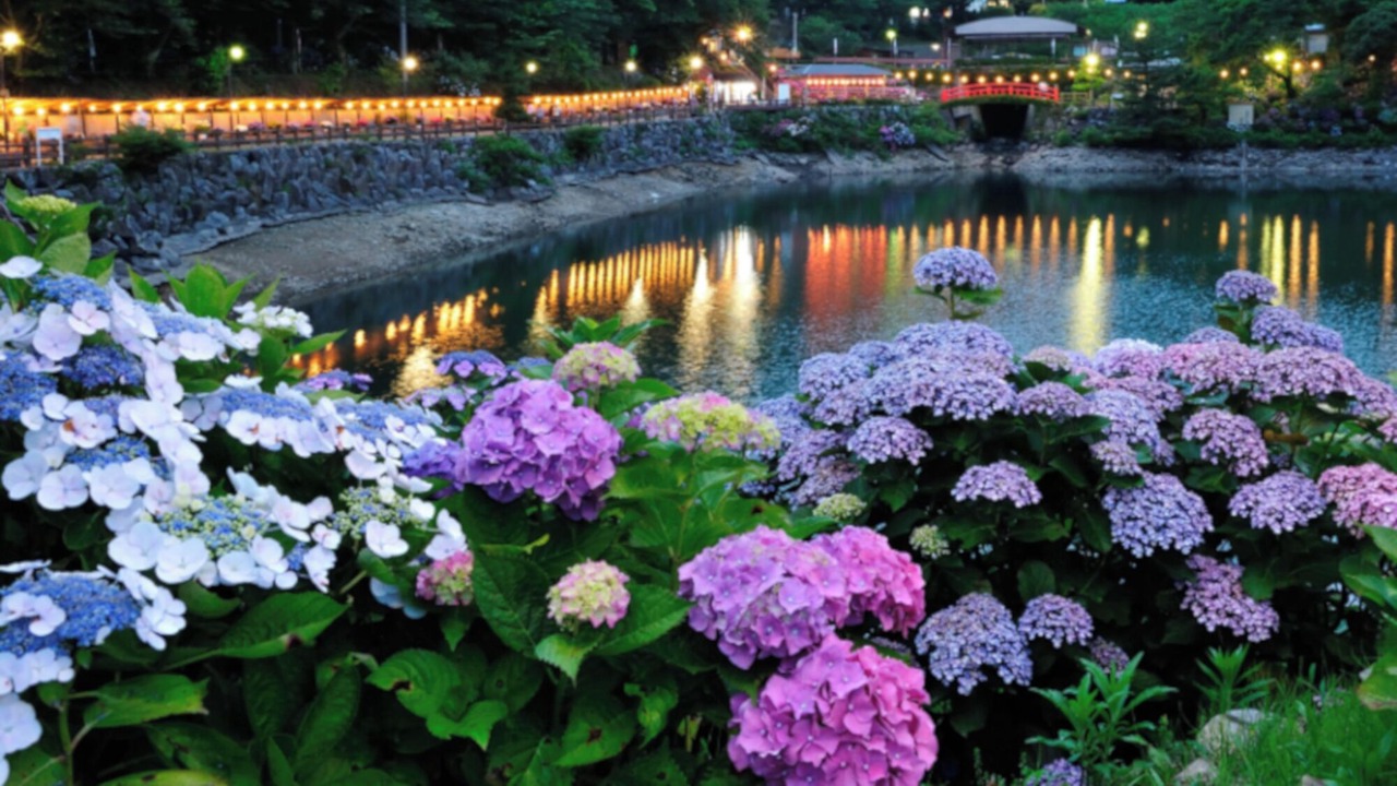 Photo of Others in Nishiuracho