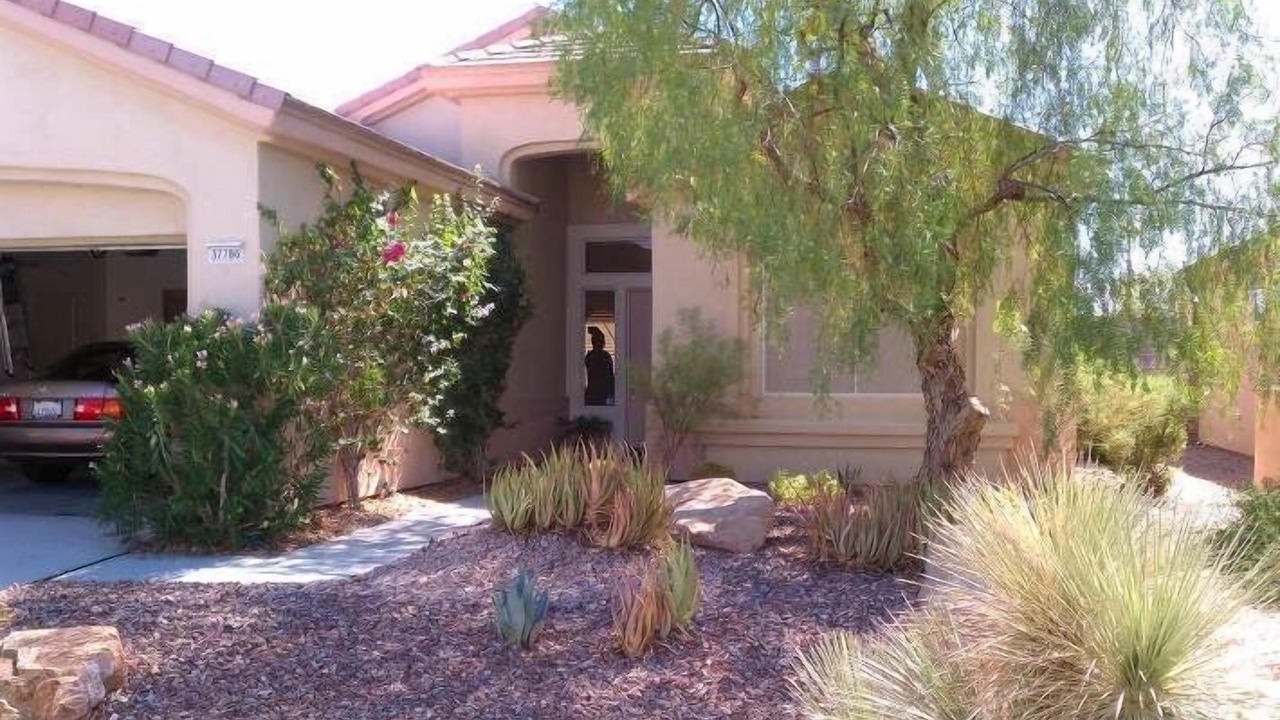Photo of Outdoor in Desert Palms