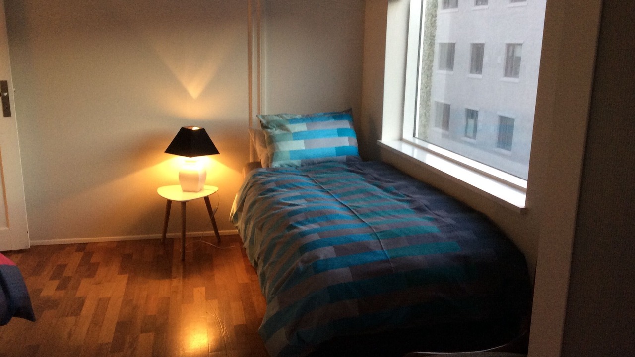 Photo of Others in Vesturbær