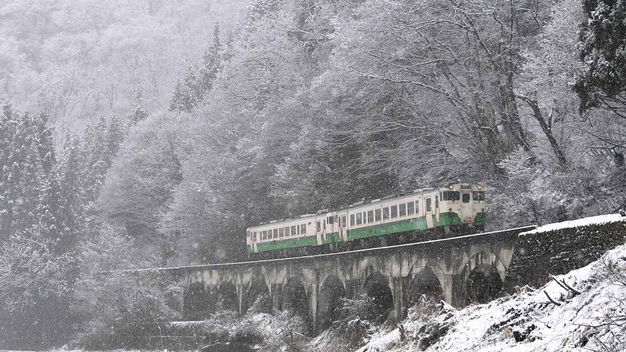 Photo of Others in Yanaizu-machi