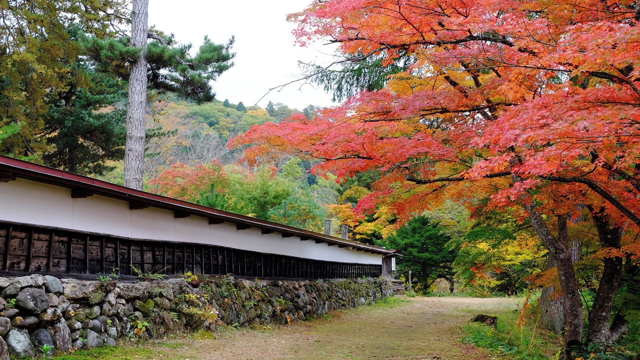 Photo of Outdoor in Yanaizu-machi