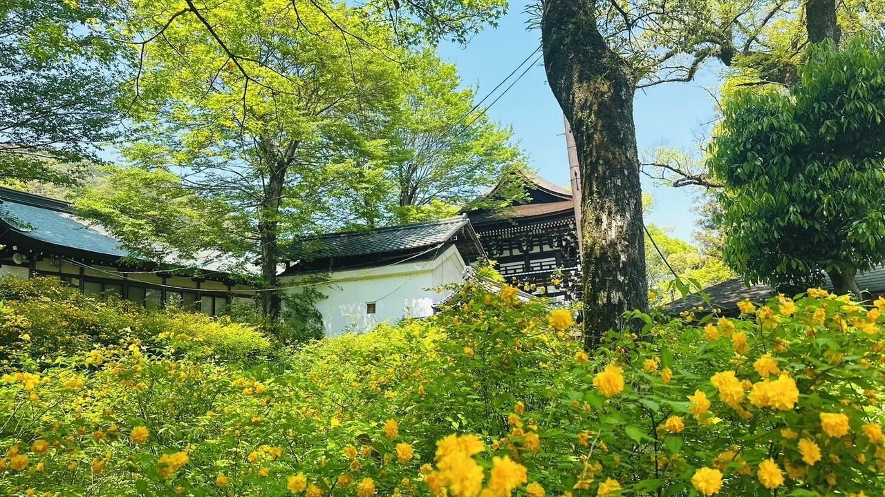 Photo of Others in Nishikyo