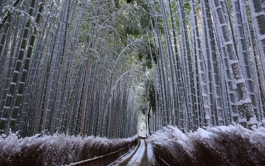 Photo of Others in Nishikyo