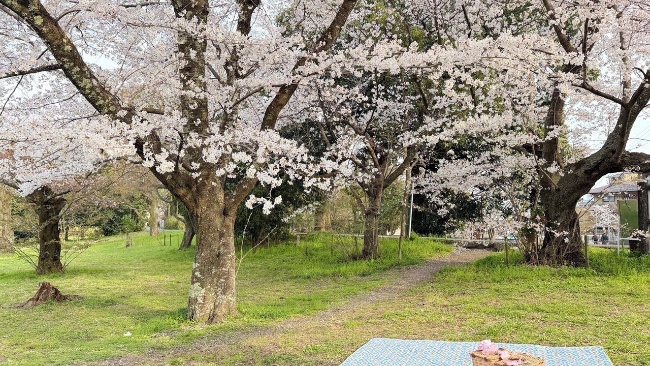 Photo of Others in Nishikyo
