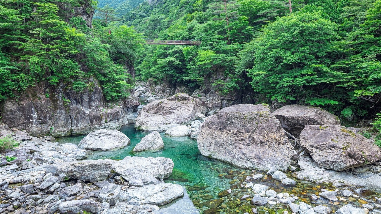 Photo of Others in Tenkawa
