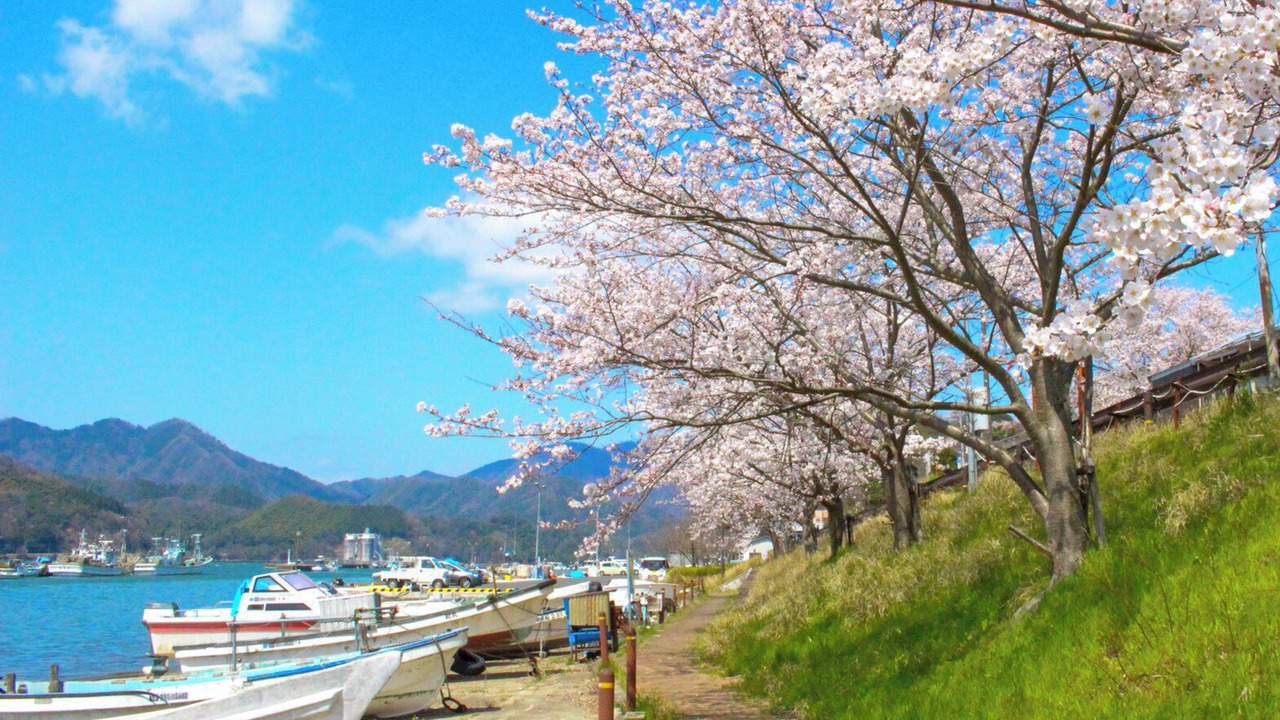 Photo of Others in Maizuru