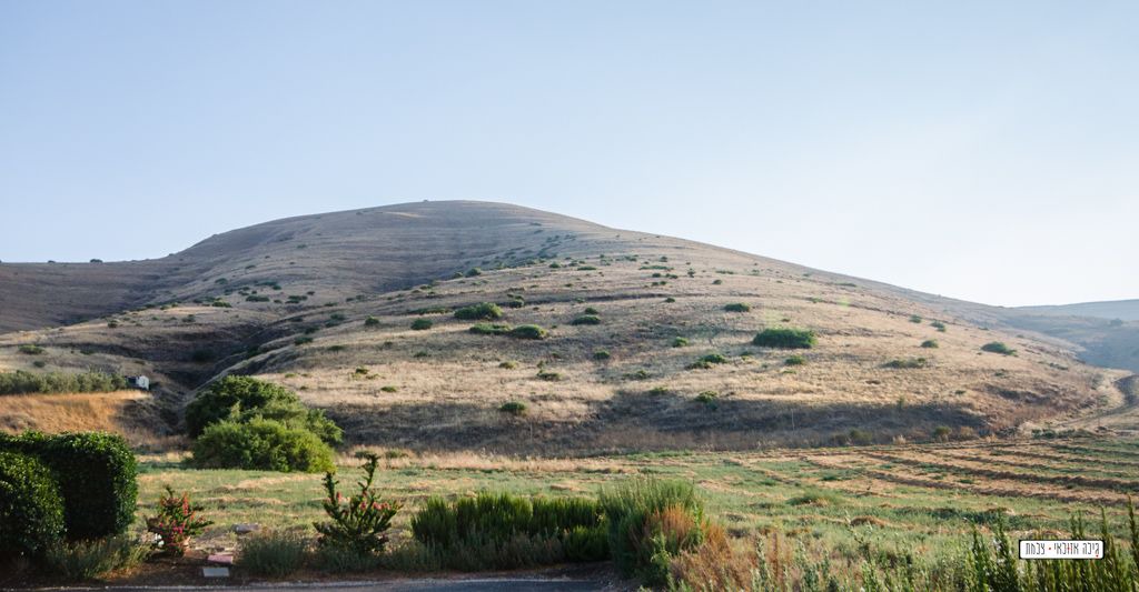Photo of Others in Yavne'el
