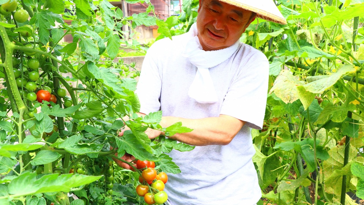 Photo of Outdoor in Yuzawa-machi