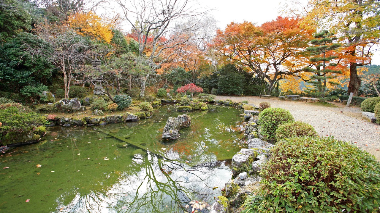 Photo of Others in Yoshino