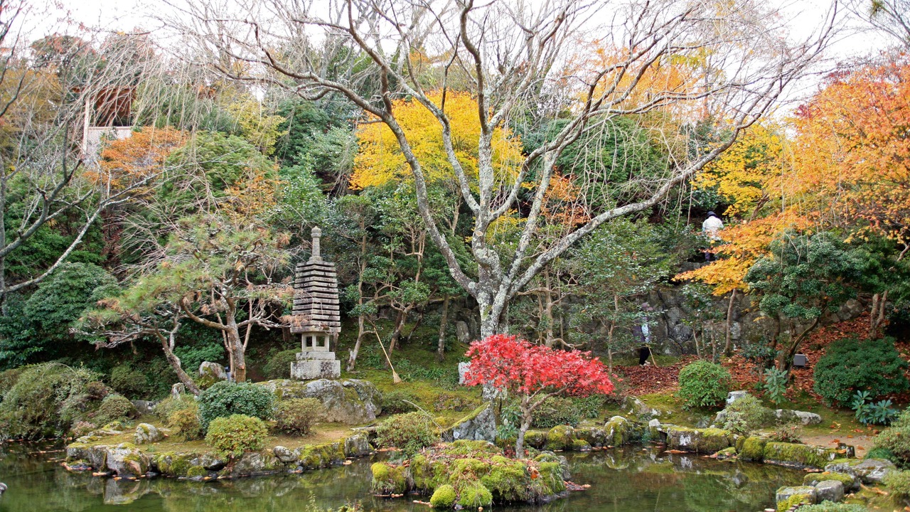 Photo of Others in Yoshino