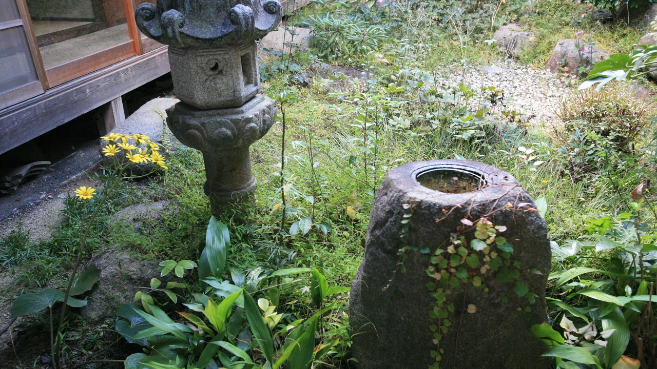 Photo of Others in Yoshino