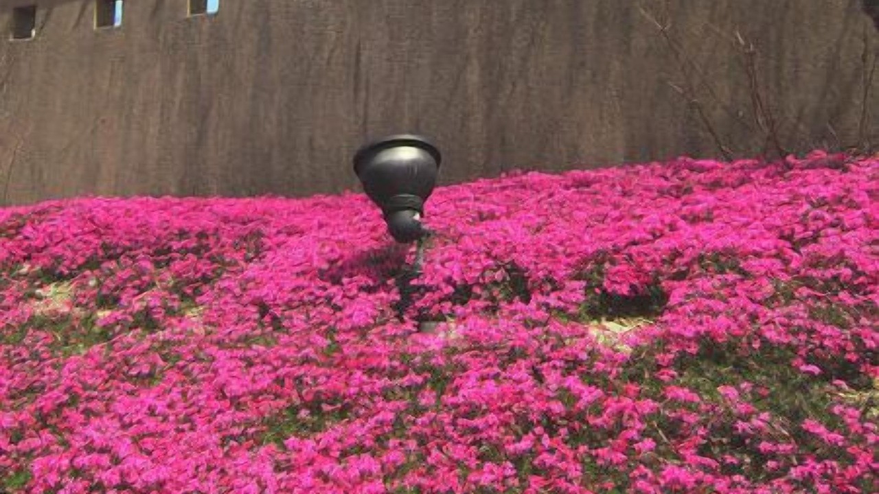 Photo of Outdoor in Ine