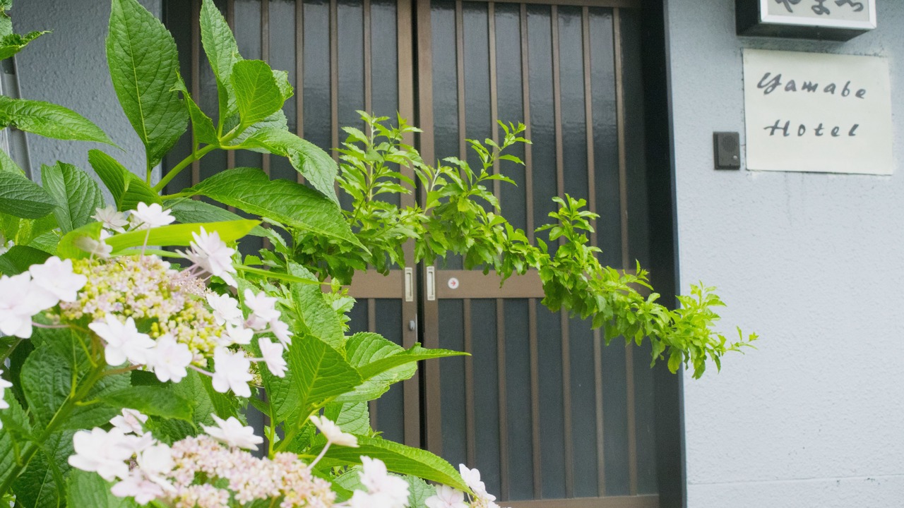 Photo of Outdoor in Tenri