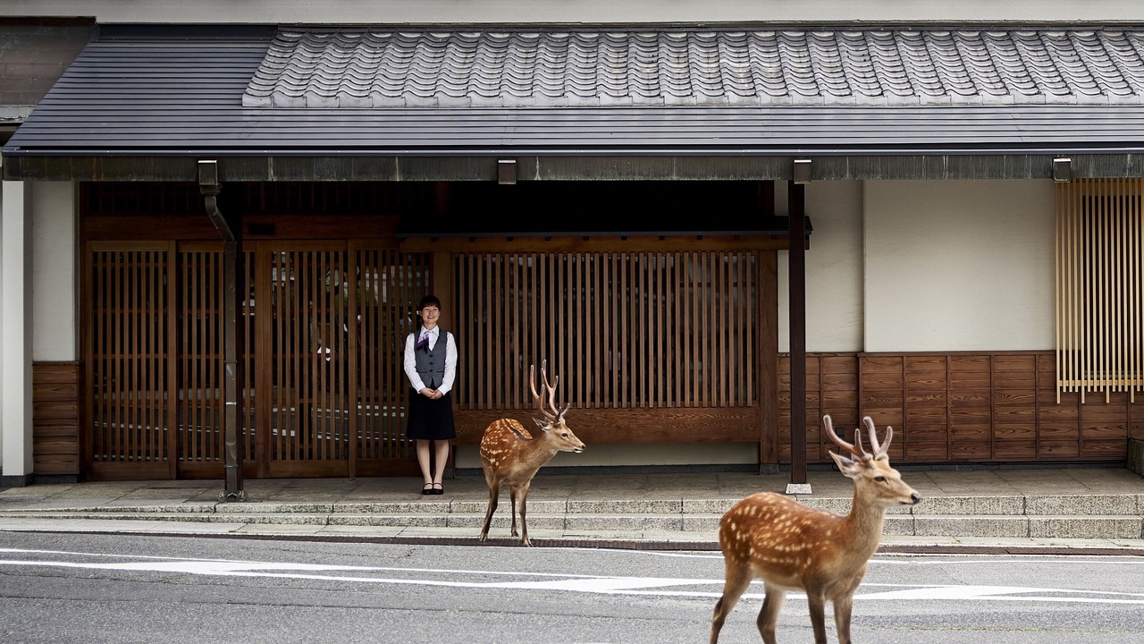 Photo of Outdoor in Noborioji