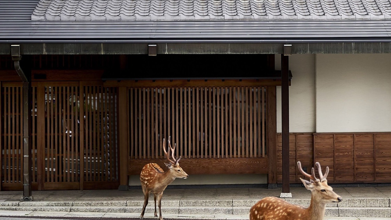 Photo of Outdoor in Noborioji