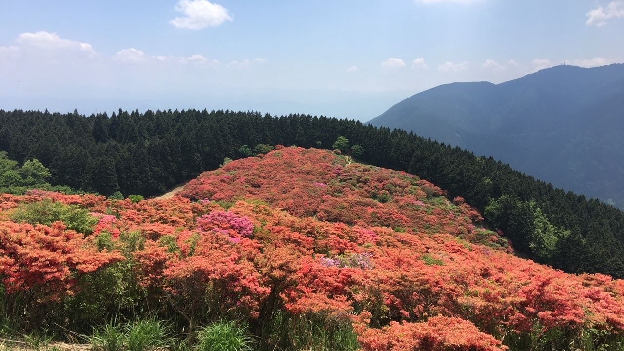 Photo of Others in Yamatotakada