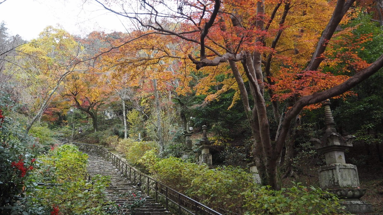 Photo of Others in Yamatotakada