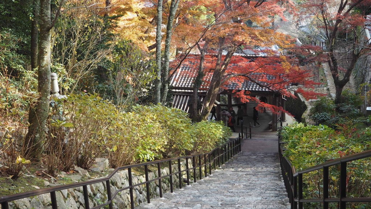 Photo of Others in Yamatotakada