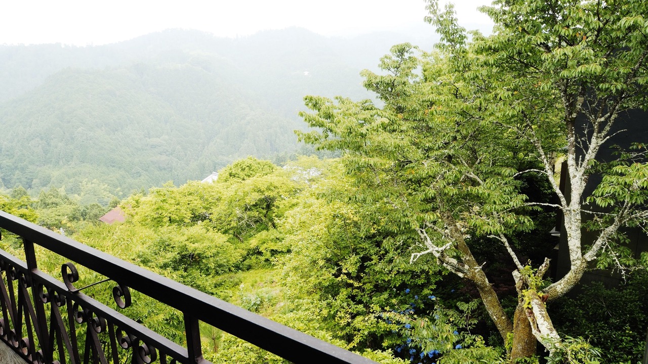 Photo of Others in Yoshino