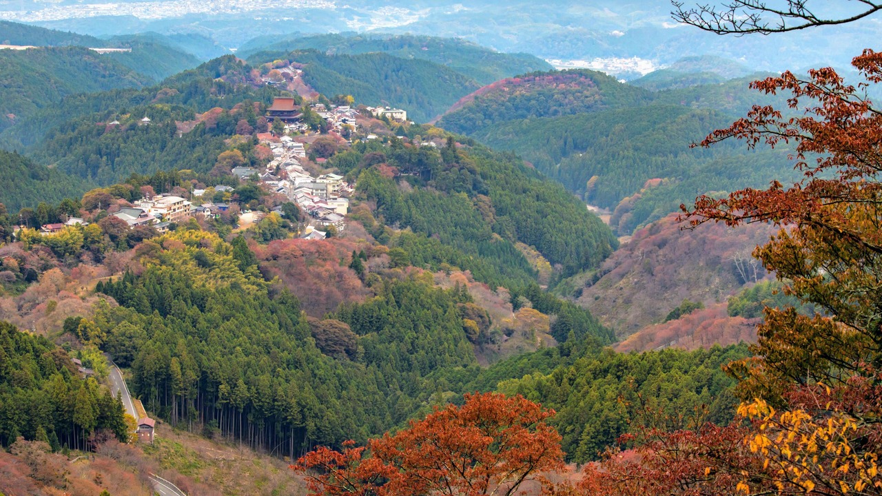 Photo of Outdoor in Yoshino