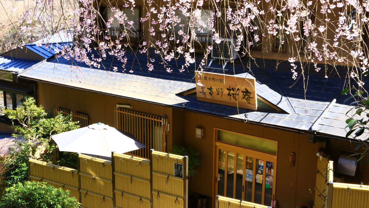 Photo of Outdoor in Yoshino