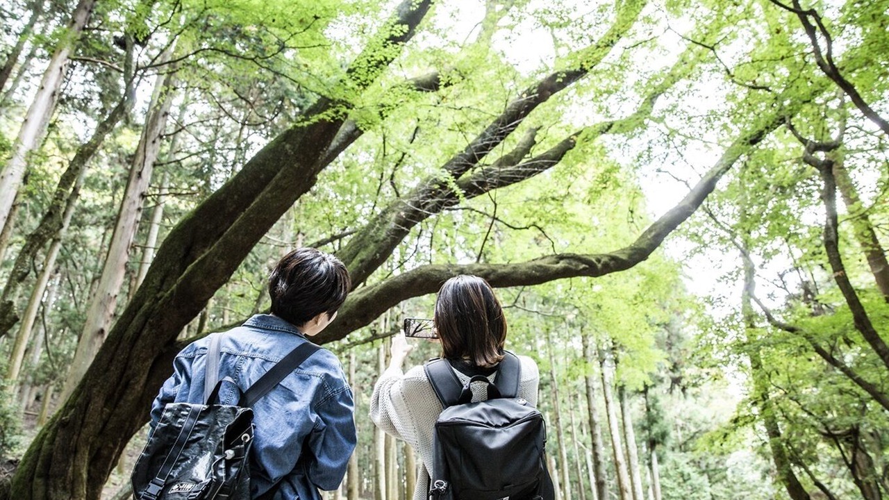 Photo of Outdoor in Nara