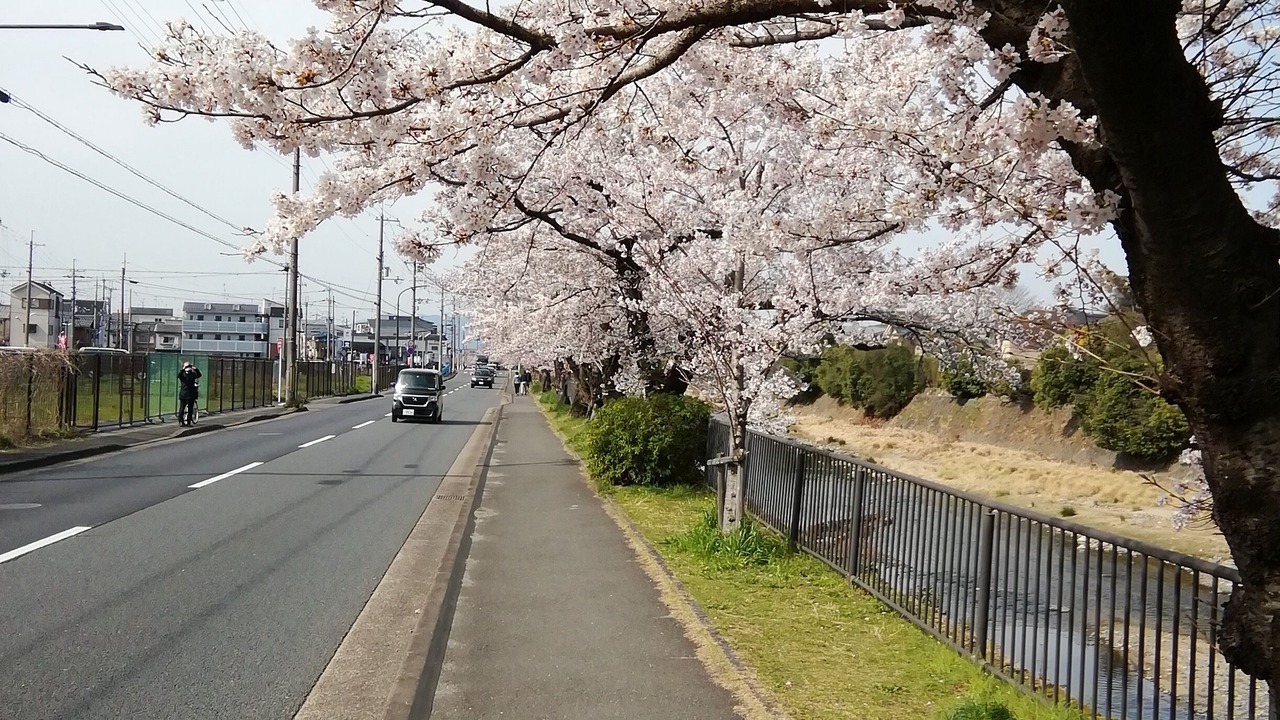 Photo of Outdoor in Shimogyo