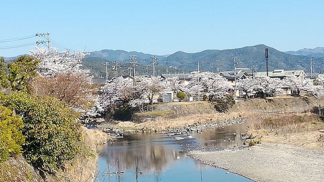 Photo of Others in Shimogyo