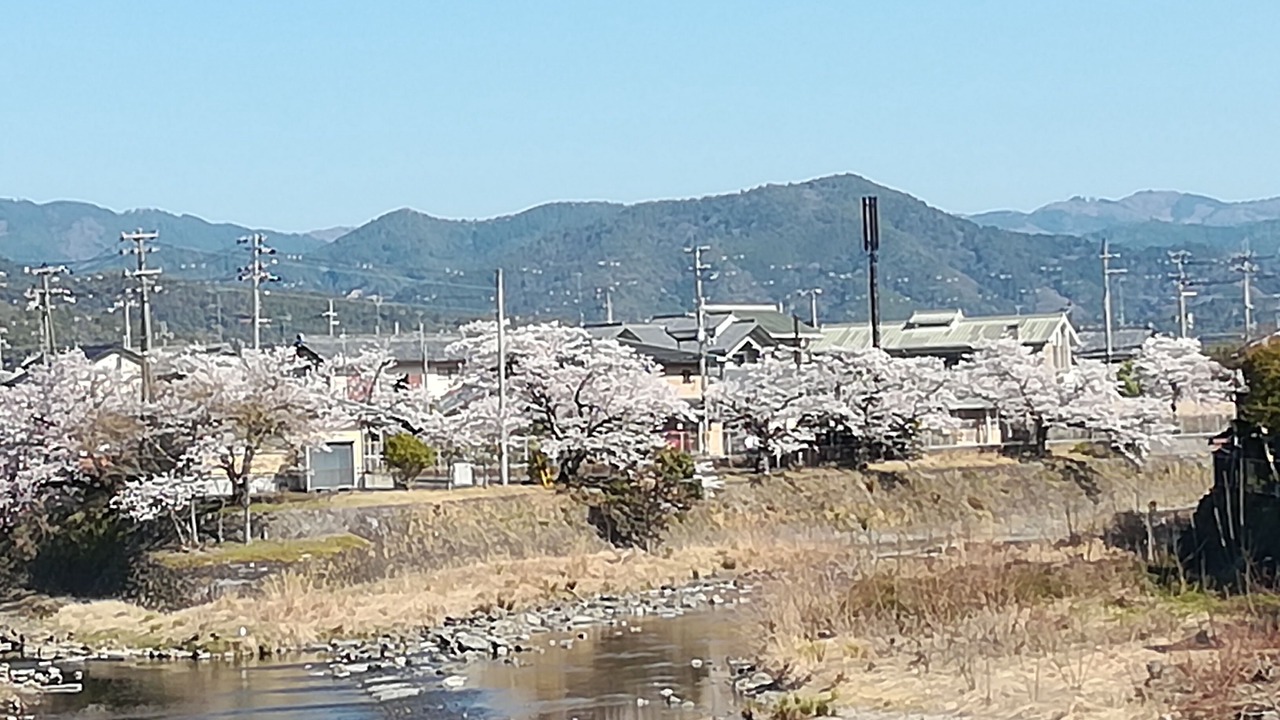 Photo of Others in Shimogyo