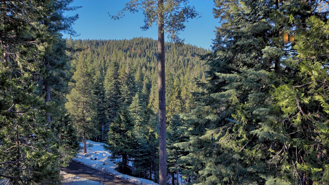 Photo of Others in Yosemite West
