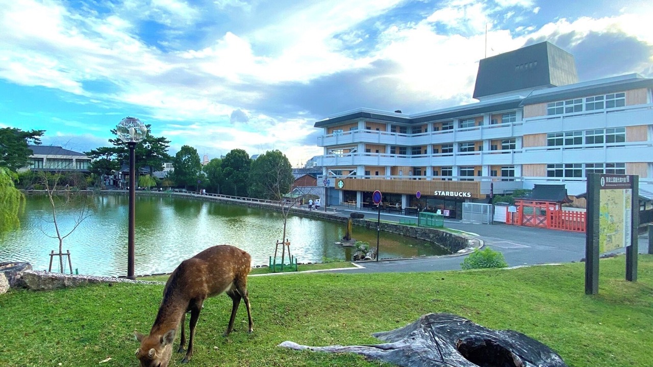 Photo of Others in Nara