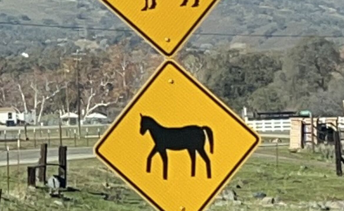 Photo of Others in Squaw Valley