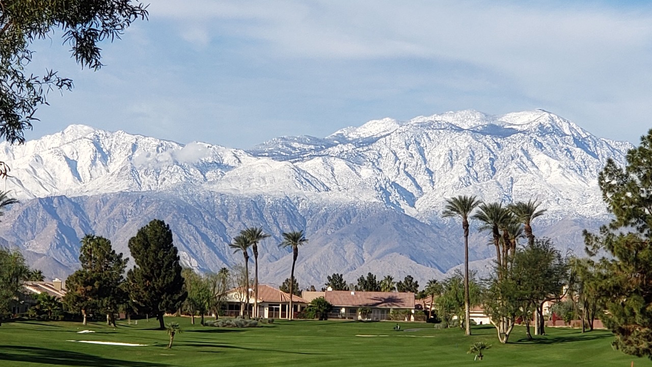Photo of Others in Desert Palms