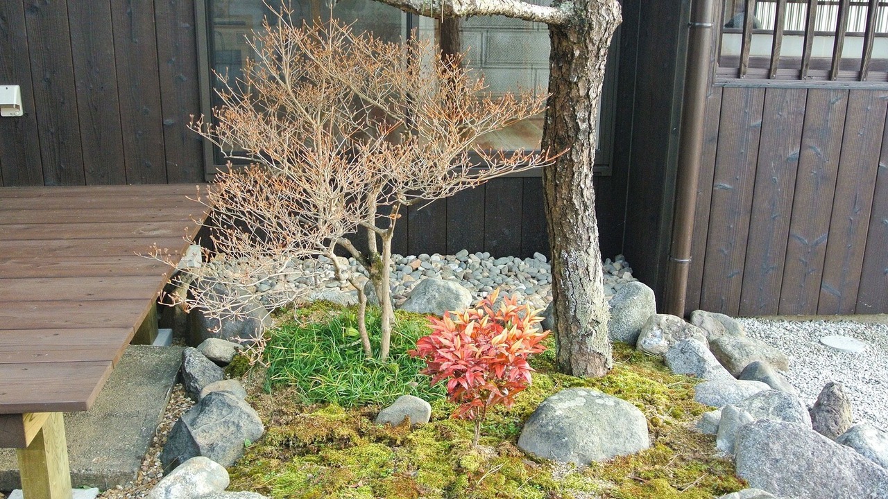 Photo of Outdoor in Asuka