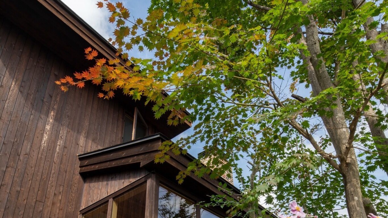 Photo of Outdoor in Kitasaku-gun