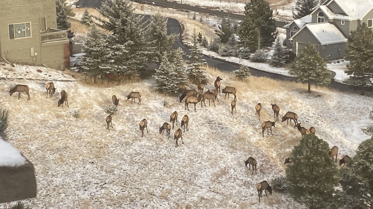 Photo of Others in Golden
