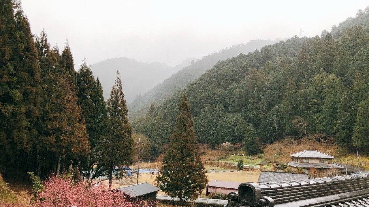 Photo of Others in Yoshino