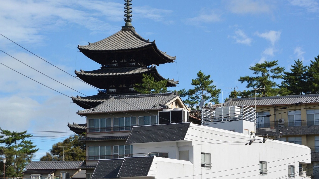 Photo of Others in Nara