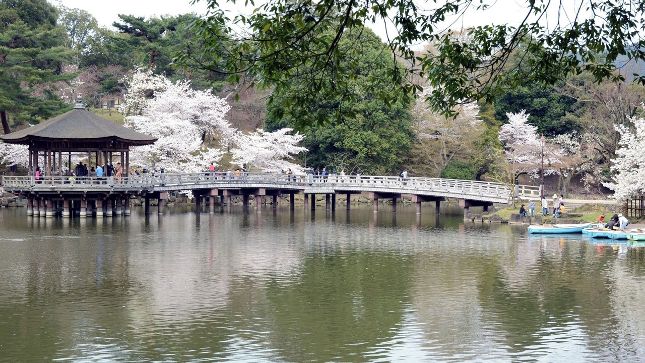 Photo of Others in Nara
