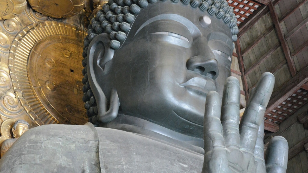 Photo of Others in Nara