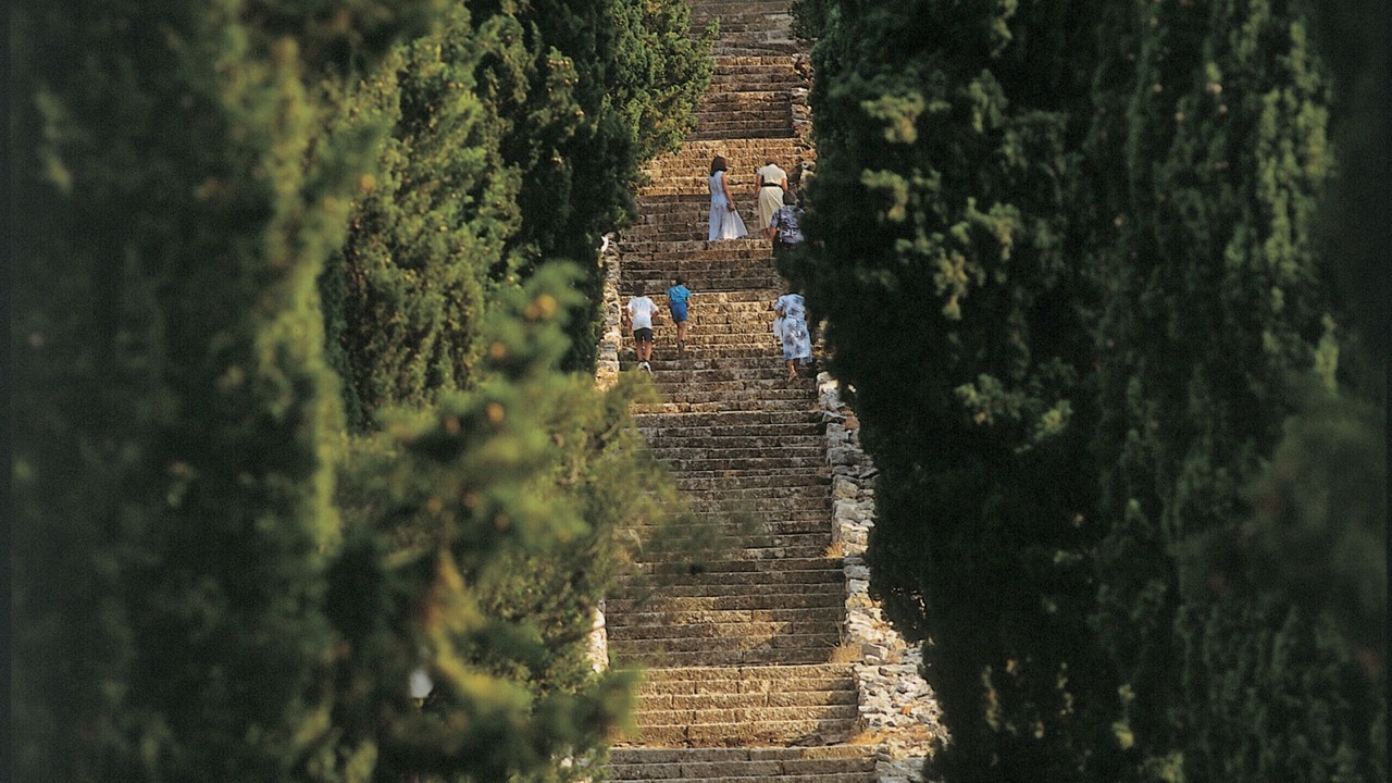 Photo of Others in Vela Luka