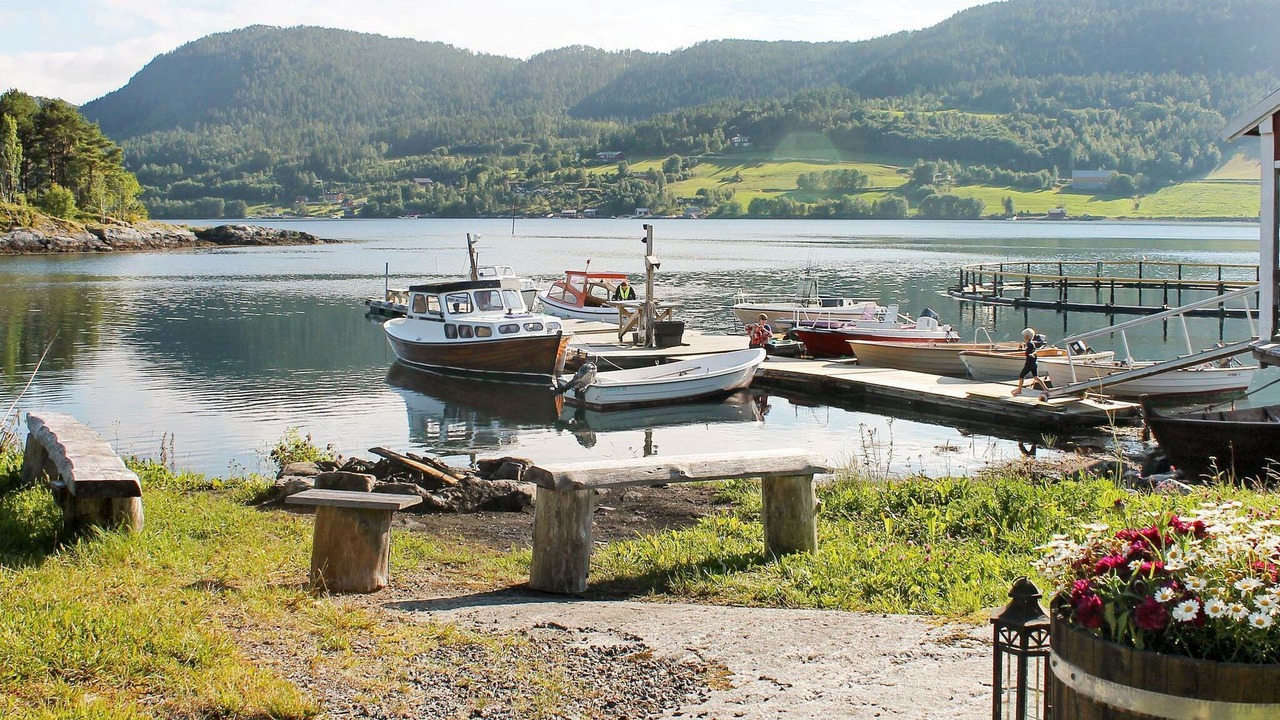 Photo of Others in Halsa Municipality