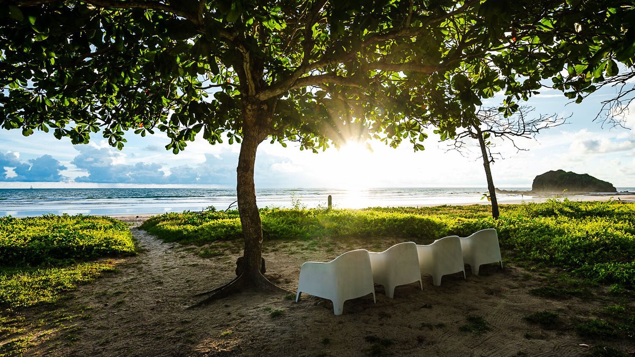 Photo of Others in Playa Grande