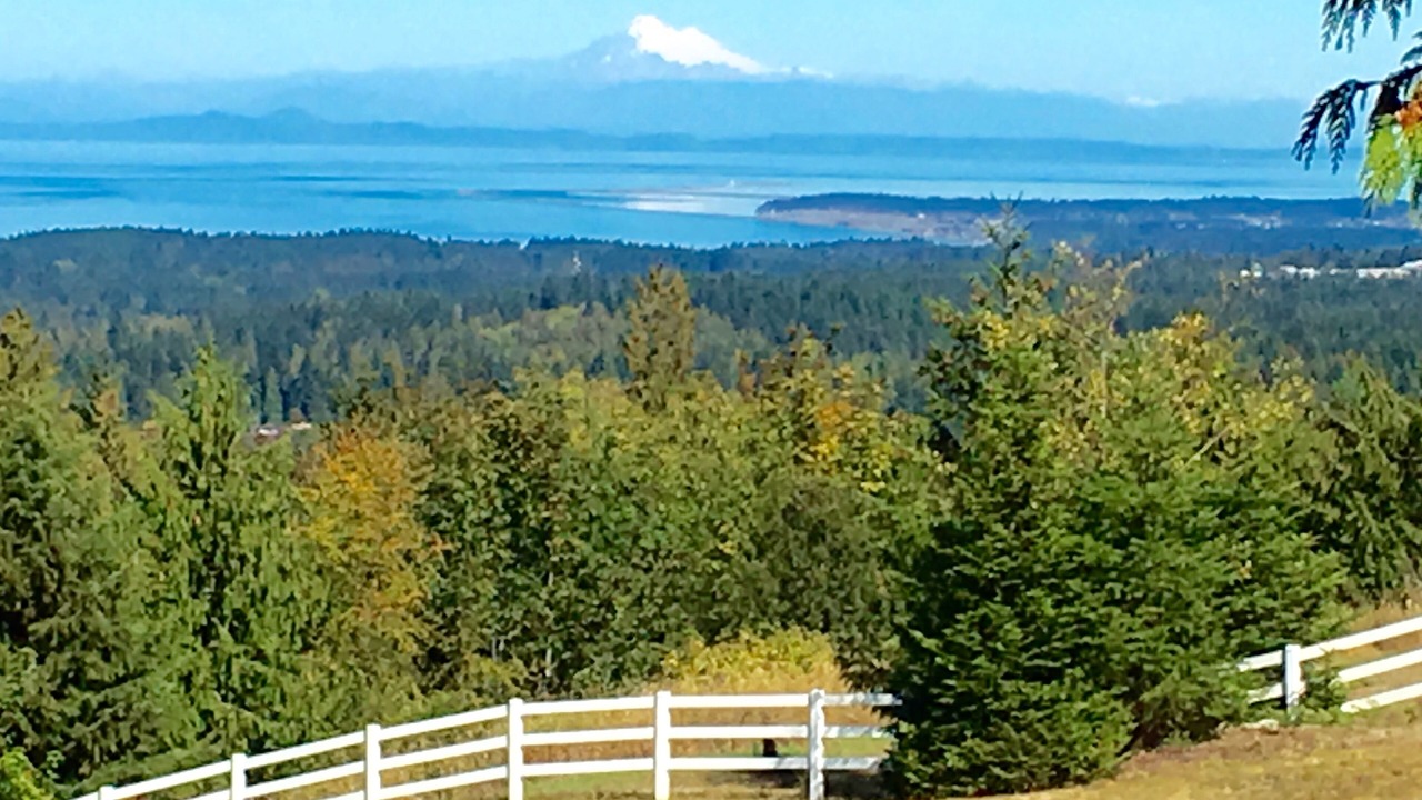 Photo of Others in Port Angeles