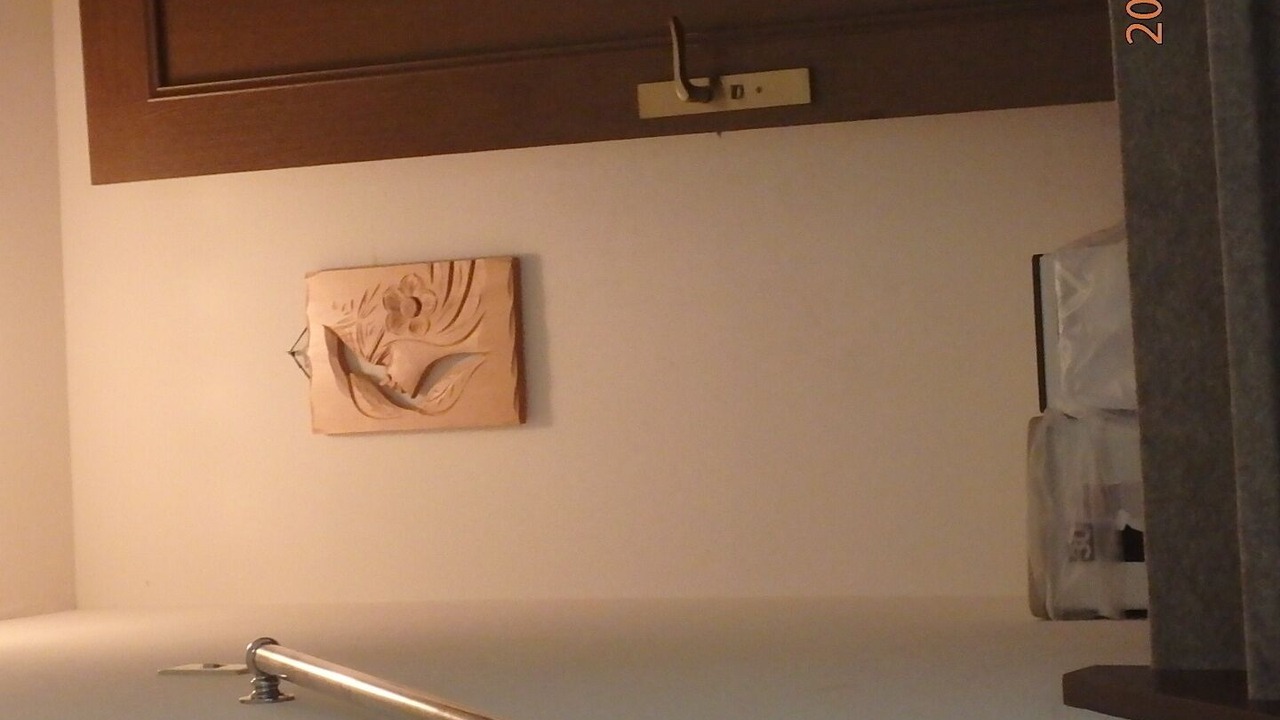 Photo of Others in Shimogyo