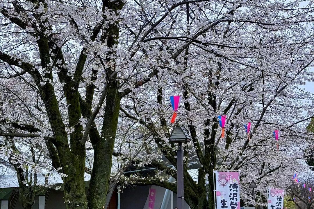 Photo of Others in Kita