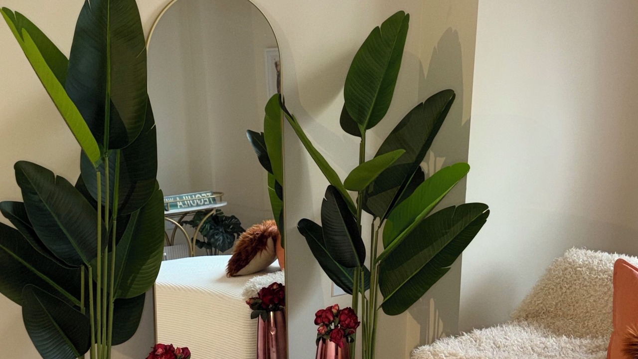 Photo of Bedroom in North Bethesda