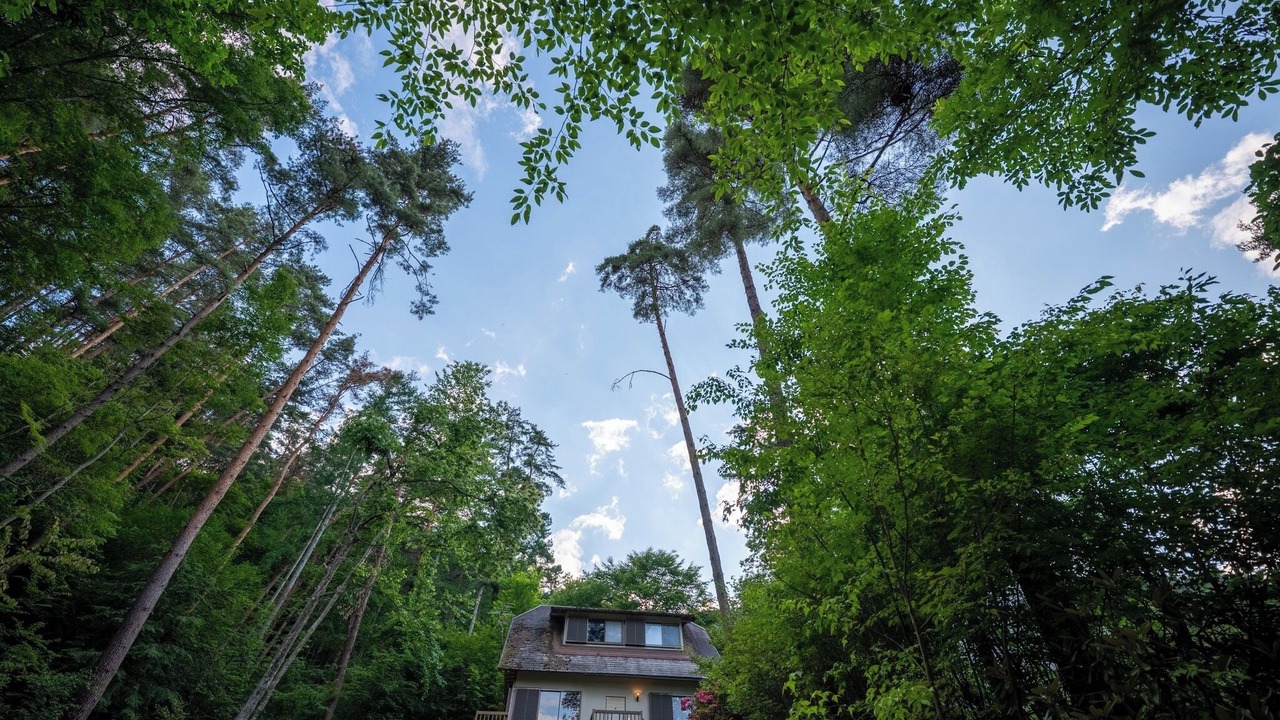 Photo of Outdoor in Azumino