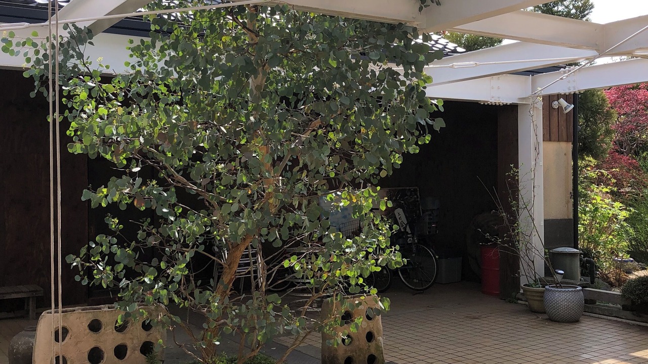 Photo of Outdoor in Chigasaki